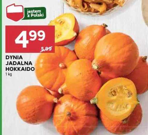 dynia hokkaido
