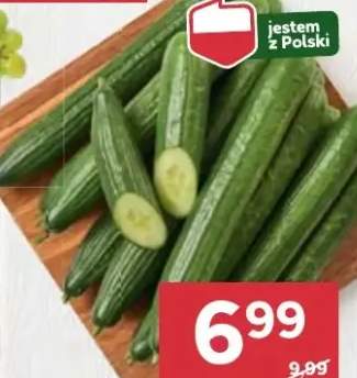 ogórek długi