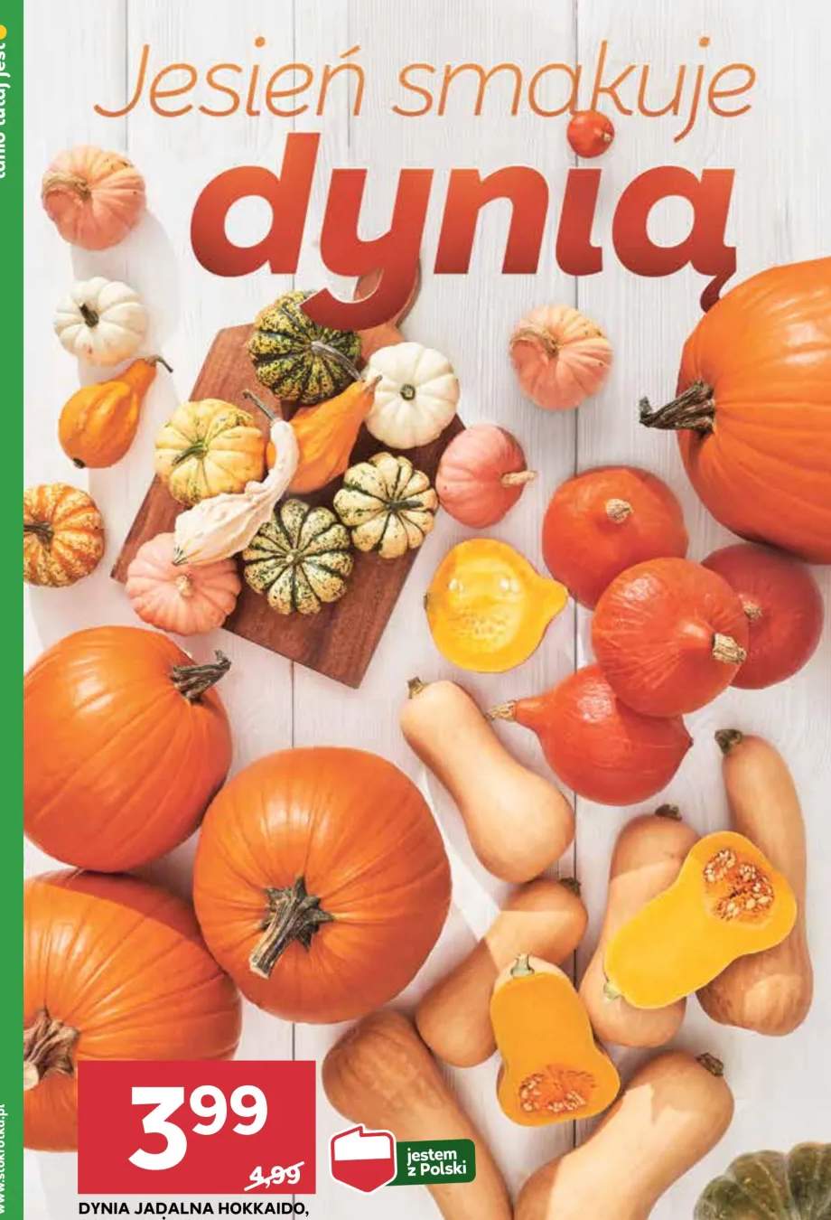 dynia