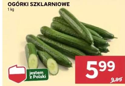 ogórek szklarniowy