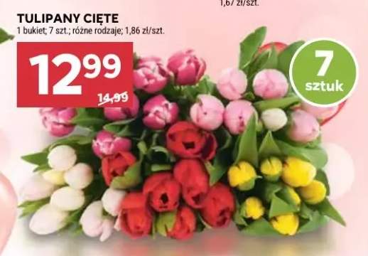 tulipany bukiet