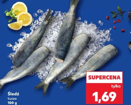 śledź tusza