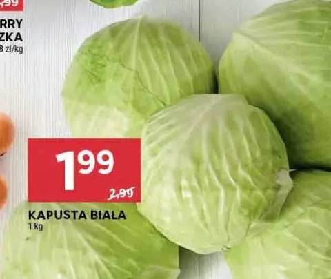 kapusta biała