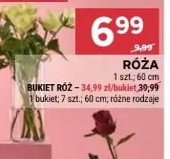 Bukiet róż