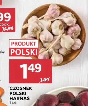 Czosnek polski harnaś