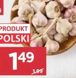 Czosnek polski harnaś