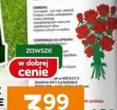 Pasztet delikatesowy extra