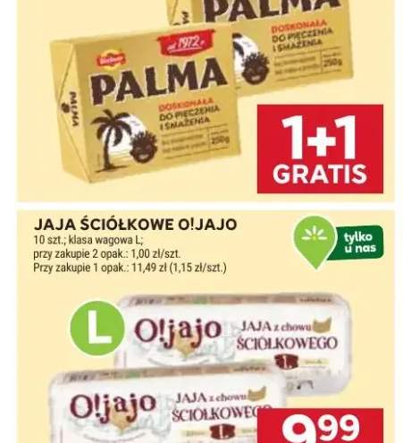 Cebulki kwiatowe wiosenne