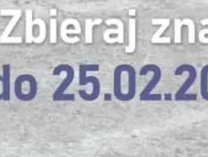 Pasztet z żurawiną, borowikami