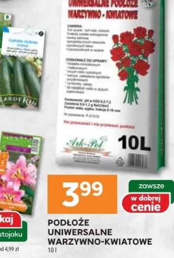 Zupka, obiadek, deser