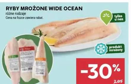 Ryby mrożone wide ocean różne rodzaje