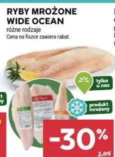 Ryby mrożone Wide Ocean