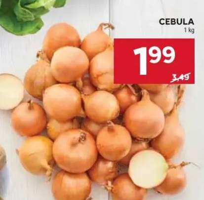 Cebula