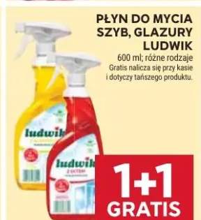 Płyn do mycia szyb, glazury Ludwik