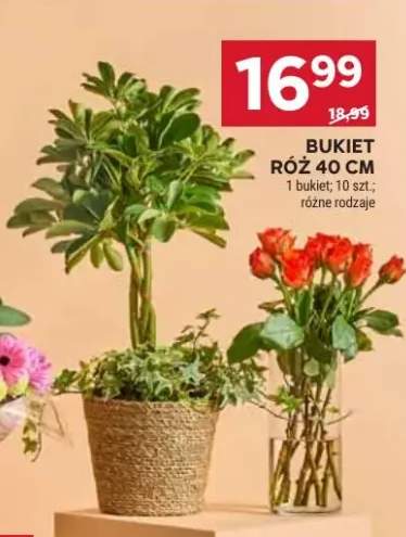 Bukiet róż 40 cm
