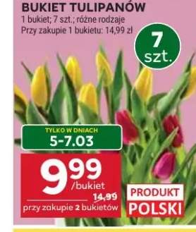 tulipany bukiet