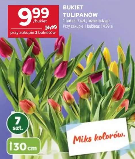 tulipany bukiet