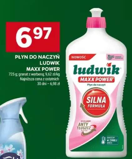 Płyn do naczyń Ludwik Maxx Power