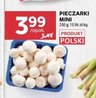Pieczarki mini