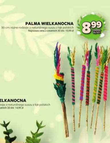 Palma wielkanocna 80cm różne rodzaje z naturalnego suszu z łąk polskich