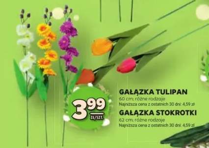 Gałązka tulipan 60cm różne rodzaje