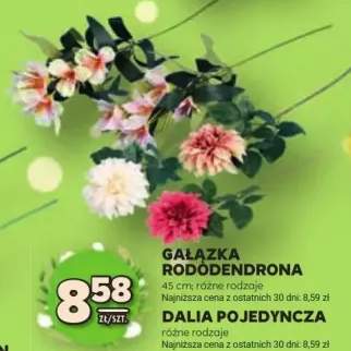 Gałązka rododendron 45cm różne rodzaje