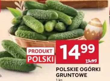 Ogórki gruntowe