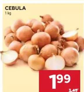 Cebula