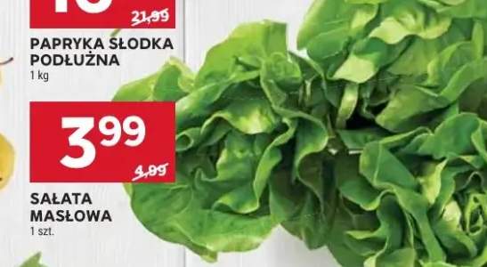 Papryka słodka podłużna