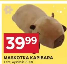 Maskotka Kapibara