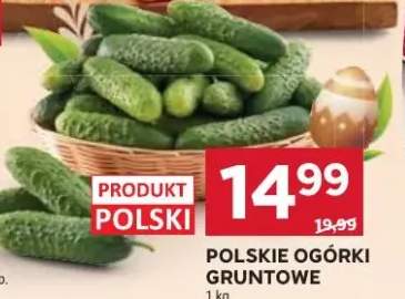 Ogórki gruntowe