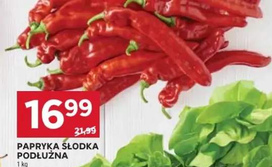 Papryka słodka podłużna