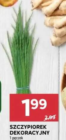 Szczypiorek dekoracyjny