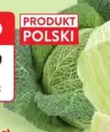 kapusta włoska