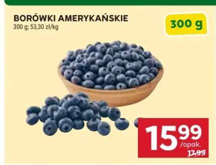 Borówki amerykańskie