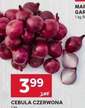 Cebula czerwona