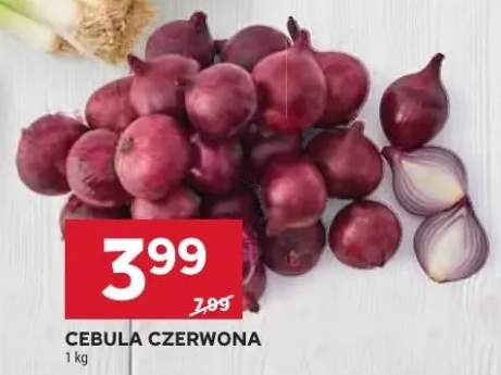 Cebula czerwona