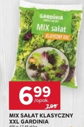 Mix sałat klasyczny XXL