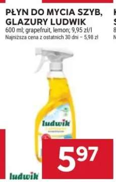Płyn do mycia szyb, glazury Ludwik