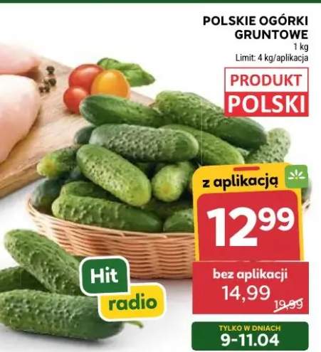 Polskie ogórki gruntowe