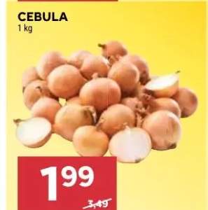 Cebula