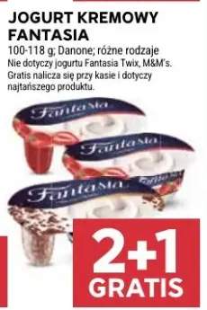 Jogurt kremowy fantasia