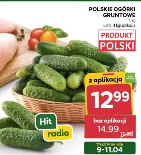 Polskie ogórki gruntowe