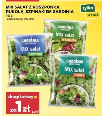 Mix sałat z roszponką, rukolą, szpinakiem gardinia