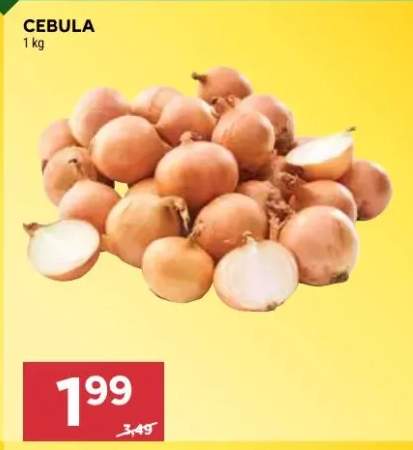 Cebula