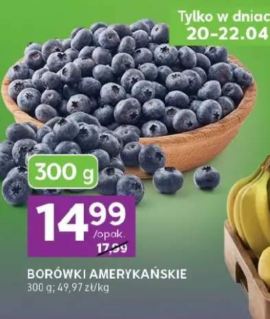 Borówki amerykańskie