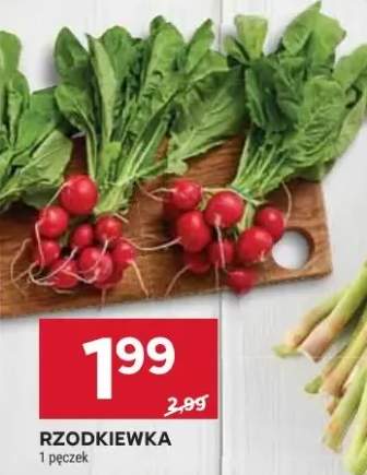 Rzodkiewka