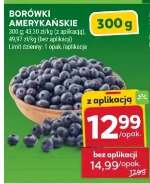 Borówki amerykańskie