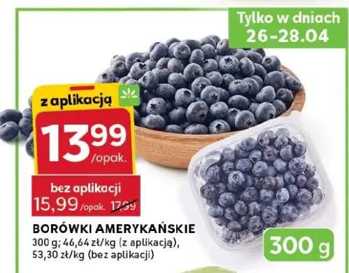 Borówki amerykańskie