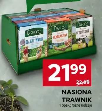 Nasiona trawnik dla aktywnych Decor